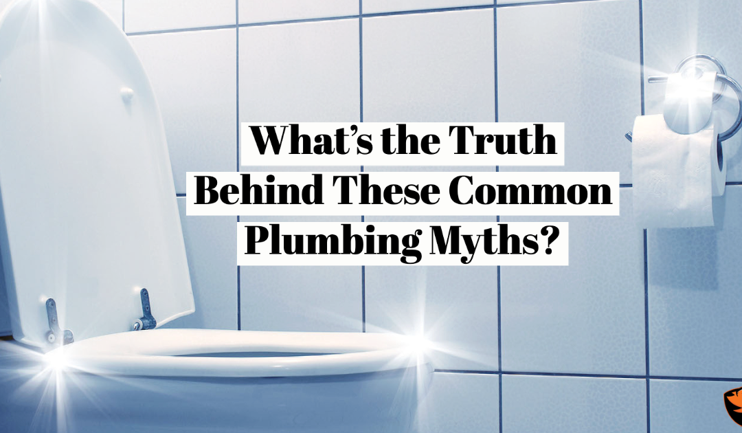 What’s the Truth Behind These Common Plumbing Myths?