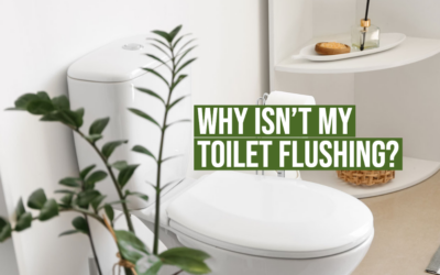 Why Isn’t My Toilet Flushing? 