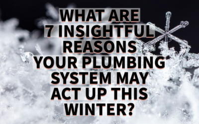 WHAT ARE 7 INSIGHTFUL REASONS YOUR PLUMBING SYSTEM MAY ACT UP THIS WINTER?  